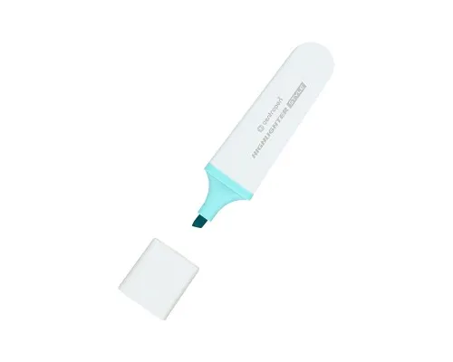 Маркер Centropen Highlighter Style 6252/12 1-4,6 мм клин. пастел. блактий (6252/58 - 12)
