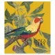 Зошит Школярик Birds 60 аркушів клітинка (060-3410K)