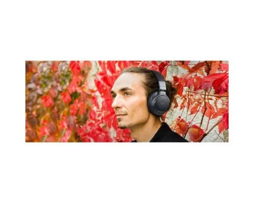 Навушники Muse M-278 FB Bluetooth Black (M-278 FB)