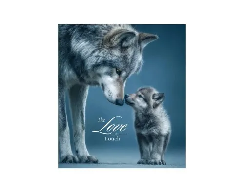 Зошит Школярик Star The Love of touch 96 аркушів клітинка (096-3665K)