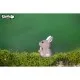 Пазл Eugy 3D Зоопарк: Кенгуру (XEG-015)