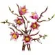 Конструктор LEGO Botanicals Magnolia Branches (11510)