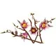 Конструктор LEGO Botanicals Magnolia Branches (11510)
