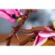 Конструктор LEGO Botanicals Magnolia Branches (11510)