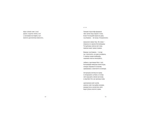 Книга Схима. Том 1 - Василь Махно Видавництво Старого Лева (9789664483145)