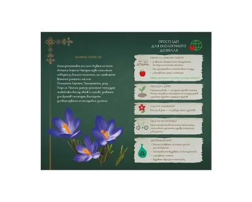 Книга Щоденник Мавки. Зима Ранок (9789667510787)