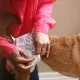 Підгузки для тварин Simple Solution Disposable Diapers Large для собак великих порід 12 шт (0010279105856)
