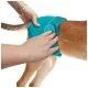 Гігієнічні труси для собак Simple Solution Washable Diaper Small багаторазового використання 1 шт (0010279105924)