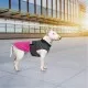 Попона для тварин Pet Fashion ROY XL малиново-сіра (4823082432929)