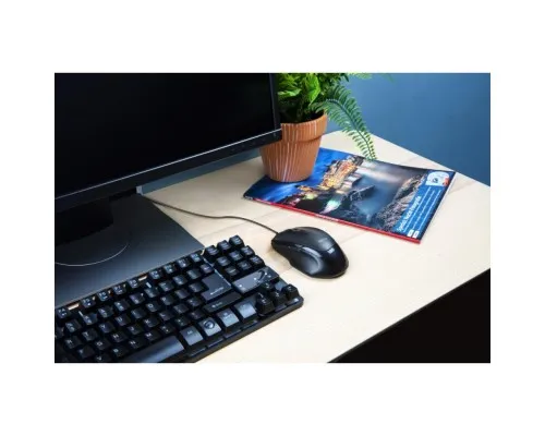 Мишка Trust Voca USB Black (23650)