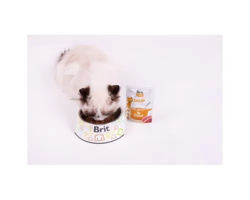 Вологий корм для кішок Brit Care Soup with Duck з качкою 75 г (8595602569182)
