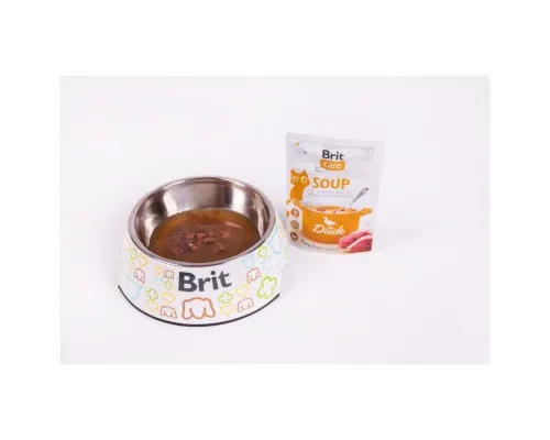 Вологий корм для кішок Brit Care Soup with Duck з качкою 75 г (8595602569182)