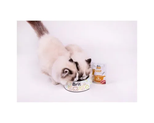 Вологий корм для кішок Brit Care Soup with Duck з качкою 75 г (8595602569182)