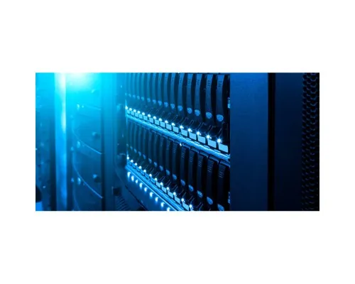 Жорсткий диск 3.5" 6TB WD (WD6004FRYZ)