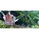 Пазл Eugy 3D Зоопарк Кошеня руде (XEG-087)