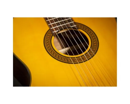 Гітара класична Takamine GC5 NAT (234729)