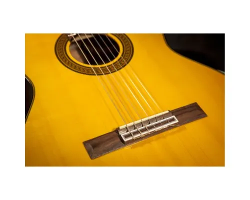 Гітара класична Takamine GC5 NAT (234729)