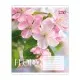 Зошит Yes Flora А5 48 аркушів, клітинка (768794)