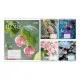 Зошит Yes Flora А5 48 аркушів, клітинка (768794)