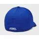 Кепка Under Armour UA Men's UA Blitzing синій 1376700-400 M/L (196040304038)