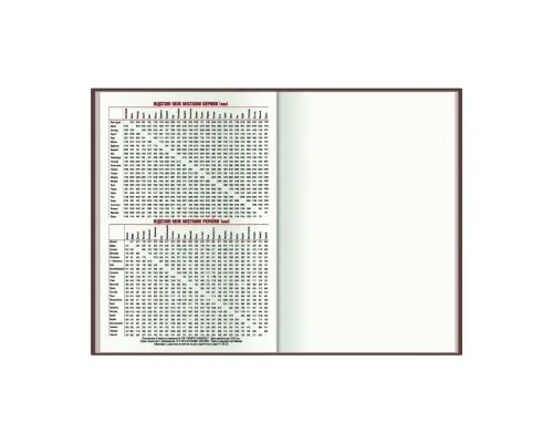 Тижневик Economix датований 2024 COLOR, А5 (E21843)