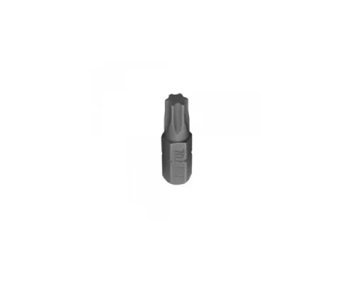 Набір біт Toptul TORX 10мм 15шт. (GAAD1506)