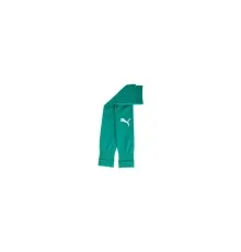 Гетри Puma teamGOAL Sleeve Sock 706028-05 зелений 39-42 (4067978044784)