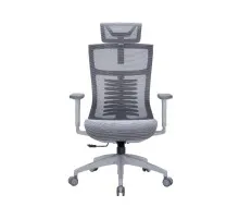 Офісне крісло OfficePro Balance OC620-G-DG-DG (OC620-G-DG-DG)