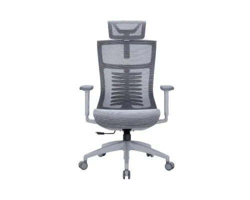 Офісне крісло OfficePro Balance OC620-G-DG-DG (OC620-G-DG-DG)