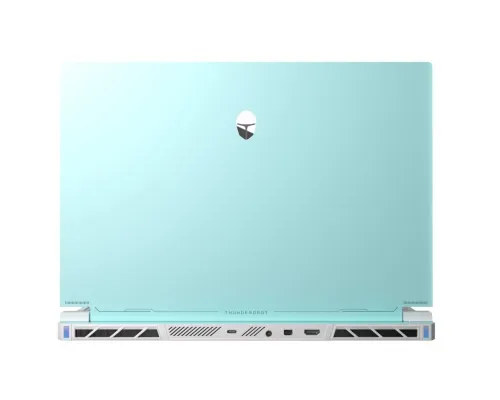 Ноутбук Thunderobot RS16 (RS16-I9139HX56E1Q240ARC)