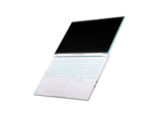 Ноутбук Thunderobot RS16 (RS16-I9139HX56E1Q240ARC)