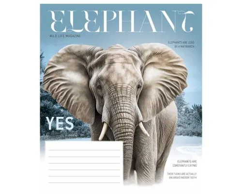 Зошит Школярик Fauna magazine 18 аркушів клітинка (018-3428K)