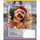 Зошит Yes Cute animals А5 18 аркушів лінія (767728)