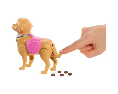 Лялька Barbie Прогулянка з песиком (JJB46)