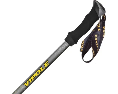 Трекінгові палиці Vipole Climber AS QL (S20 11) (DAS303392)