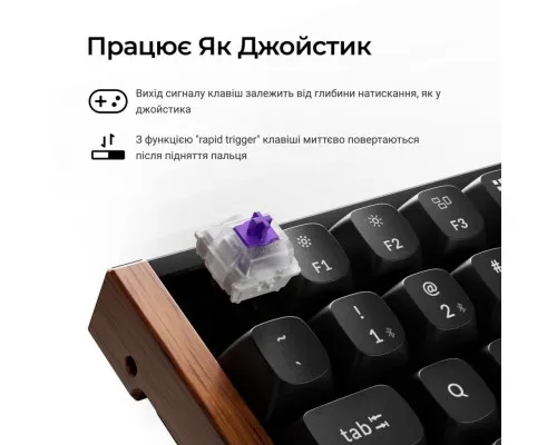 Клавіатура Keychron K2HE Gateron Double-Rail Magnetic Nebula Hot-swap QMK Wireless/Bluetooth/USB-А UA Wood/Black (K2H-F1-UA)