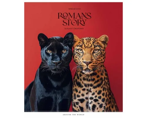 Зошит Школярик Romance stories 96 аркушів лінія (096-3571L)