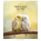 Зошит Школярик Romance stories 96 аркушів лінія (096-3571L)