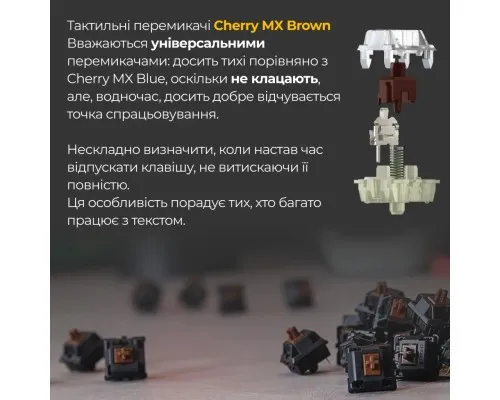 Клавіатура Ducky One 3 Cherry MX Brown UA USB Cream (DKON2108-BUAPXМAEGGC1)