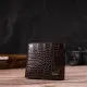 Гаманець Canpellini натуральної шкіри Коричневий (21878)