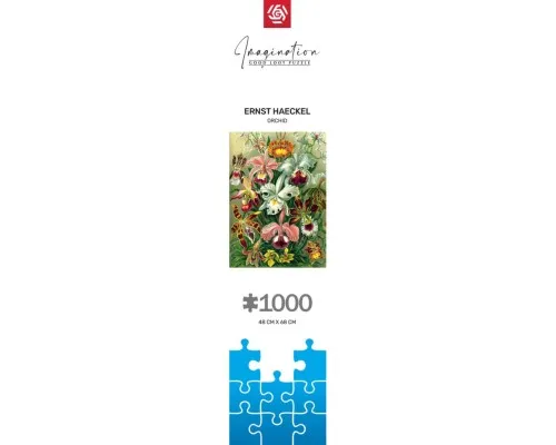 Пазл GoodLoot Imagination: Orchid Ernst Haeckel 1000 ел. (5908305247531)