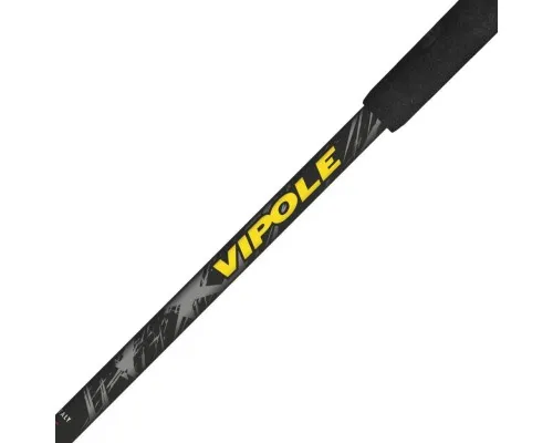Трекінгові палиці Vipole Discovery Cork DLX (S25 12) (DAS303447)