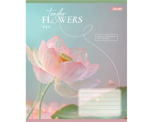 Зошит 1 вересня Tender Flowers А5 60 аркушів лінія (768083)