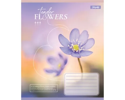 Зошит 1 вересня Tender Flowers А5 60 аркушів лінія (768083)