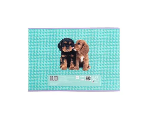 Альбом для малювання Kite Studio Pets, 24 аркуша (SP25-242)
