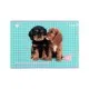 Альбом для малювання Kite Studio Pets, 24 аркуша (SP25-242)