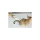 Кігтеріз для тварин Petkit LED Pet Clipper PRO (PK2302)