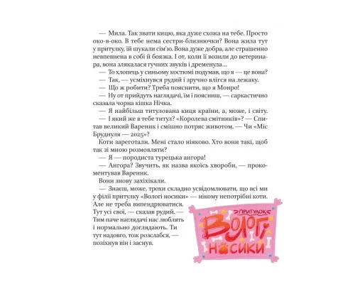 Книга МурКотливі історії - Зоряна Биндас Vivat (9786171709348)