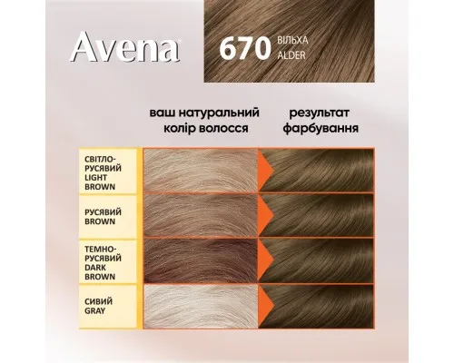 Фарба для волосся Acme Color Avena Shine Color Стійка 670 - Вільха (4823115502599)