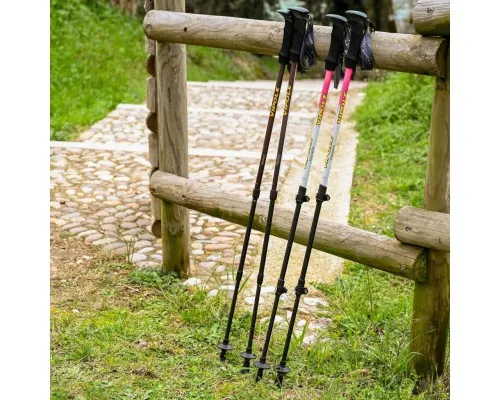 Трекінгові палиці Vipole Trekker Violet (S25 11) (DAS303452)